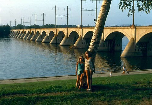 Cumberland Valley Railroad Bridge / Wikipedia / Einar Einarsson Kvaran
Link: https://en.wikipedia.org/wiki/Cumberland_Valley_Railroad_Bridge